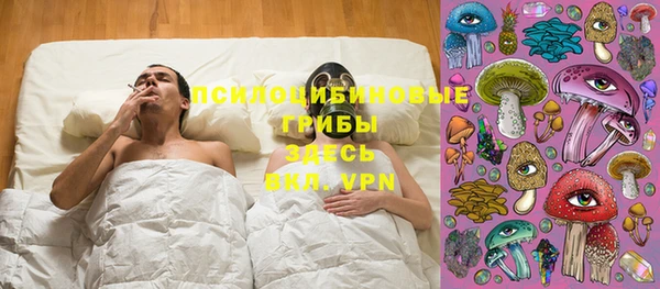 крисы Новый Уренгой